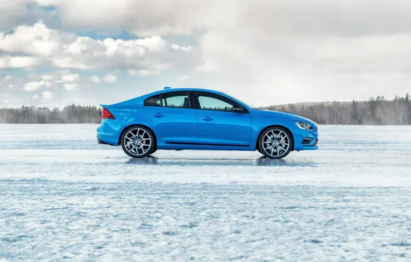 Картинка деревья, голубой, лёд, профиль, седан, s60, volvo, вольво