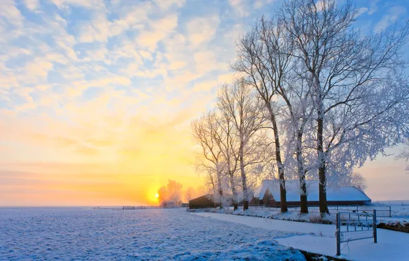 Картинка зима, солнце, снег, деревья, дома, деревня