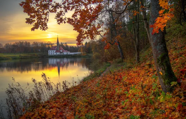 Осень, деревья, закат, река, листва, вечер, Ed Gordeev