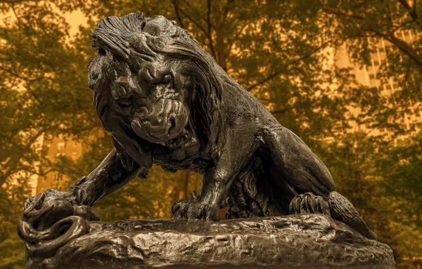 Лев, памятник, Philadelphia, Rittenhouse Square