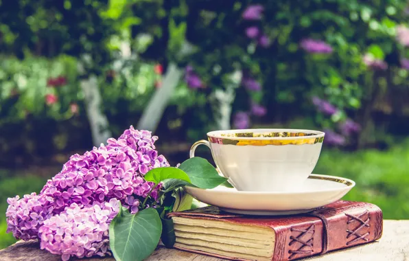Лето, природа, стол, ветка, чашка, книга, сирень