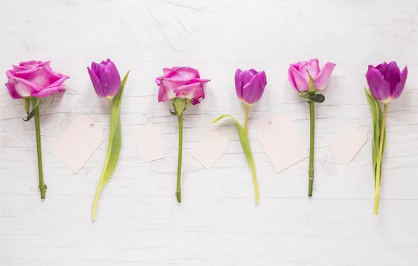 Цветы, розы, тюльпаны, розовые, pink, romantic, tulips, purple
