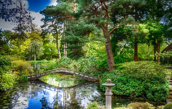 Зелень, деревья, пруд, парк, Англия, мостик, кусты, Tatton Hall