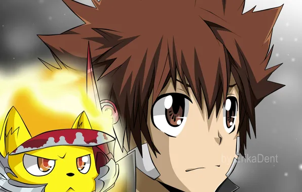 Парень, львёнок, Katekyo Hitman REBORN, Учитель мафиози Реборн, Савада Тсунаёши
