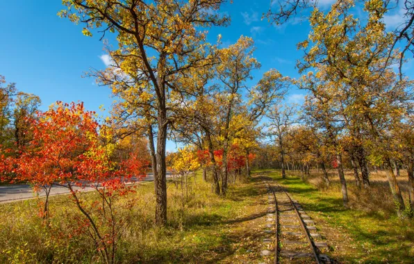 Дорога, осень, листья, деревья, парк, рельсы