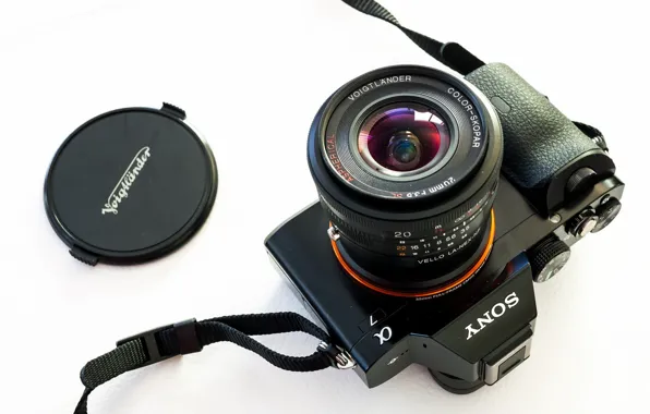 Картинка макро, фон, камера, Sony A7, Voigtlander 20mm