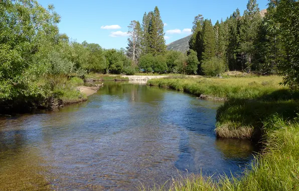 Лес, небо, деревья, горы, река