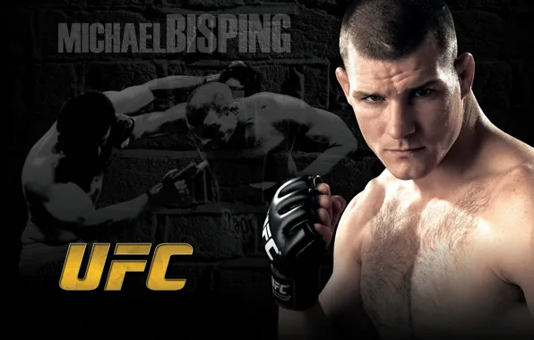 Картинка боец, fighter, граф, mma, ufc, смешанные боевые искусства, michael bisping, майкл биспинг