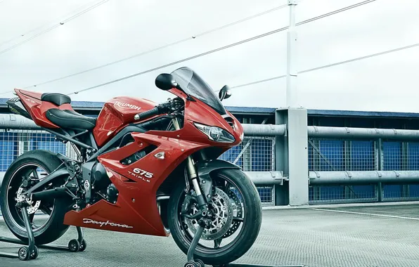 Картинка red, bike, motorcycle, wheel, daytona, triumph, motorbike, 675r