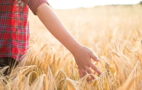 Картинка пшеница, поле, дети, фон, widescreen, обои, настроения, рожь