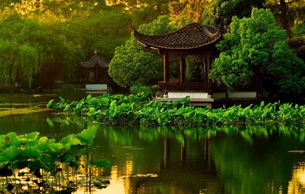 Вода, деревья, пруд, парк, сад, Китай, пагода, лотосы