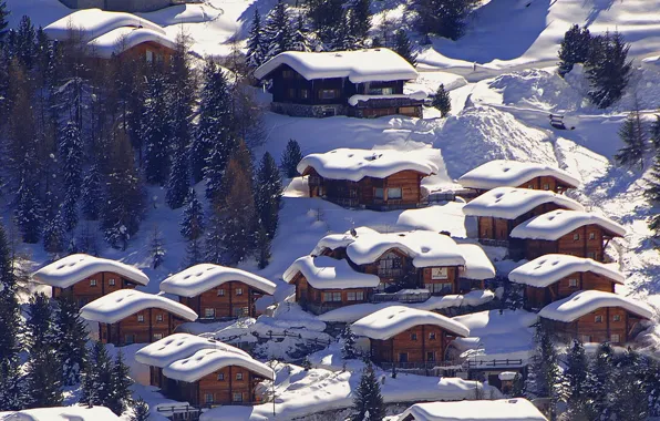 Зима, Лес, Италия, Winter, Italy, Forest, Livigno, Ливиньо