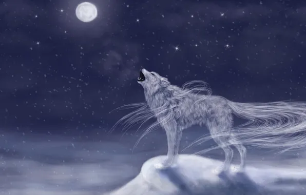 Картинка холод, небо, снег, ночь, животное, луна, волк, арт