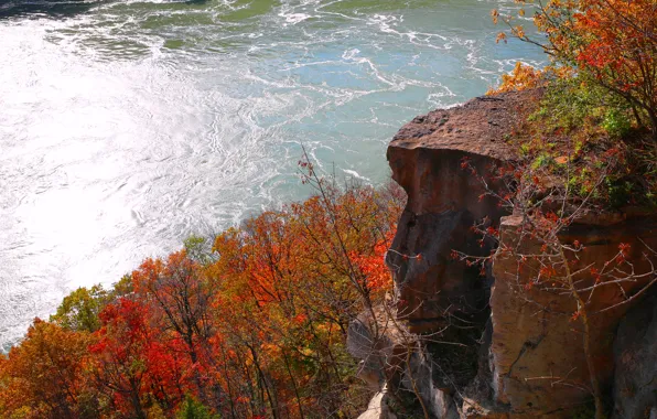 Картинка осень, деревья, скала, река, Ниагара, Канада