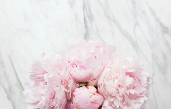 Цветы, букет, мрамор, pink, flowers, пионы, peonies, tender