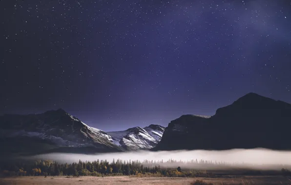 Картинка лес, небо, звезды, горы, ночь, туман