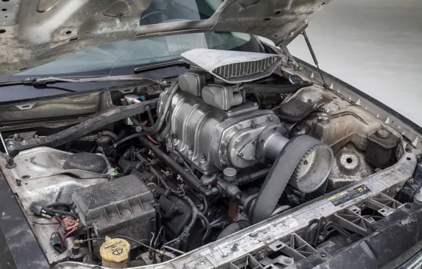 Engine, Mad Max, Безумный Макс