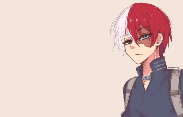 Взгляд, парень, My Hero Academia, Boku No Hero Academia, Тодороки Шото, Моя Геройская Академия