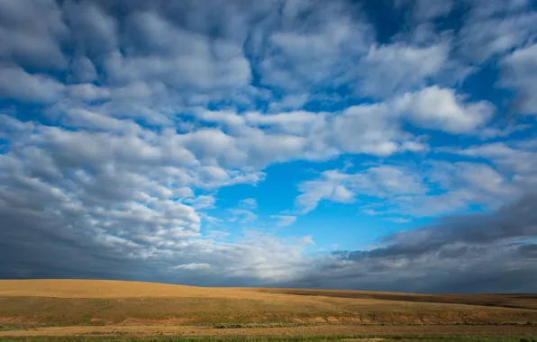 Картинка поле, облака, голубое, Небо, sky, field, blue, clouds