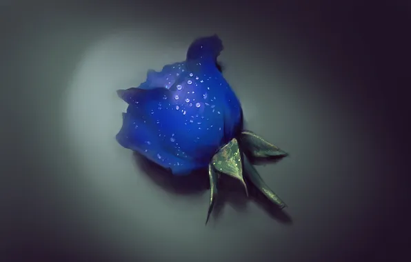 Цветок, капли, art, голубая роза