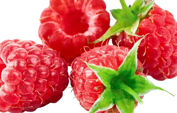 Ягоды, малина, еда