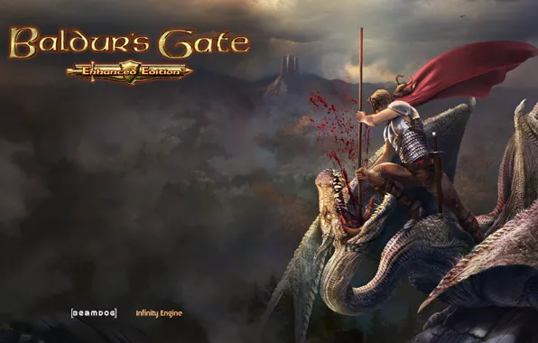 Дракон, воин, Baldurs Gate, Wyvern Slayer