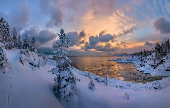 Картинка зима, лес, снег, озеро, ели, сугробы, Россия, Ладожское озеро
