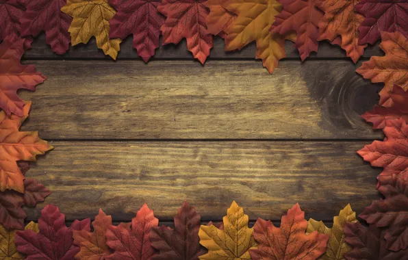 Картинка осень, листья, фон, дерево, wood, background, autumn, leaves