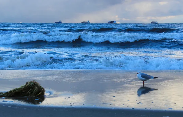 Storm, sea, ocean, water, wave