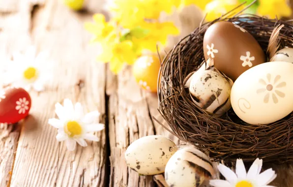 Ромашки, яйца, пасха, wood, flowers, eggs, easter, camomile