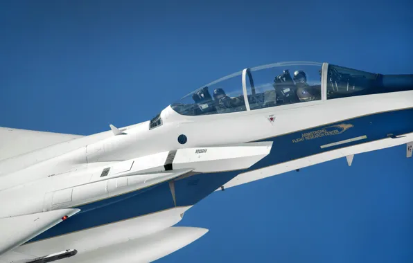 Истребитель, Фонарь, NASA, Пилот, Кокпит, F-15D Eagle