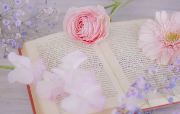 Цветы, фон, книга
