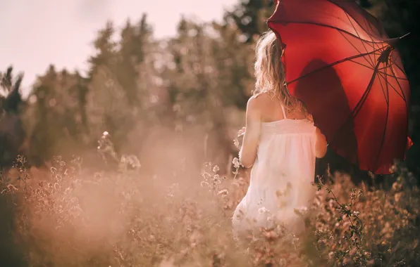 Картинка поле, солнце, цветы, красный, природа, зонтик, фон, widescreen