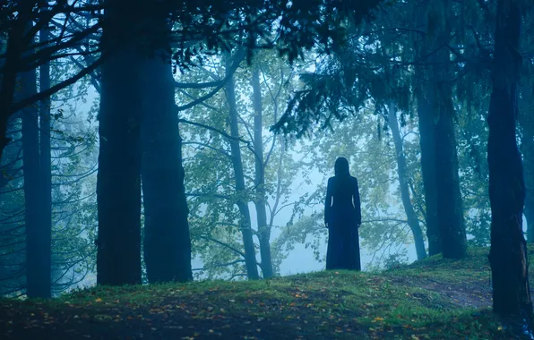Картинка лес, девушка, туман, в чёрном, силут