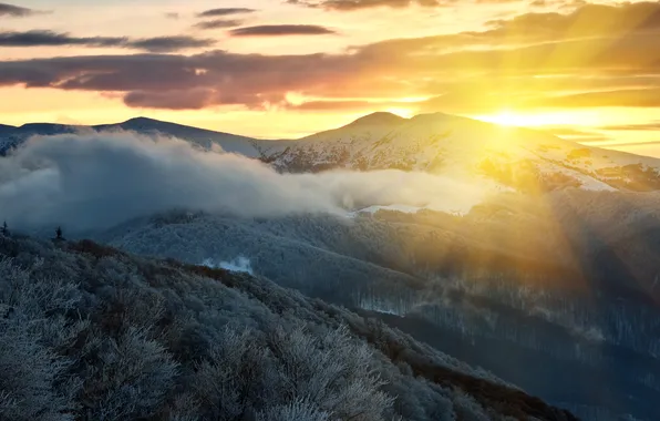 Картинка зима, лес, солнце, облака, лучи, снег, деревья, горы