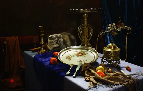 Кошка, кот, взгляд, стол, стул, посуда, натюрморт, предметы