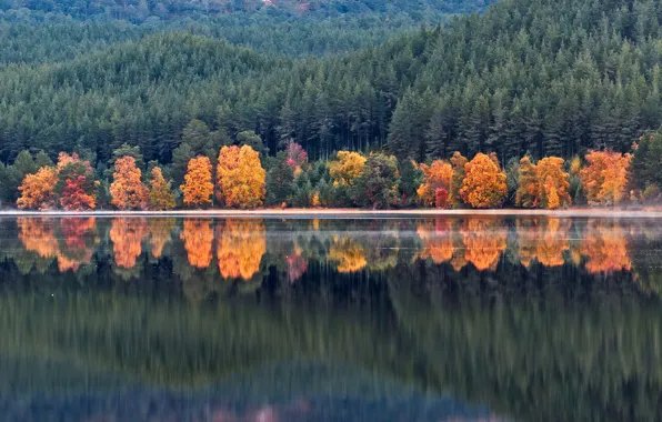 Картинка осень, лес, вода, деревья, горы, озеро, отражение, берег