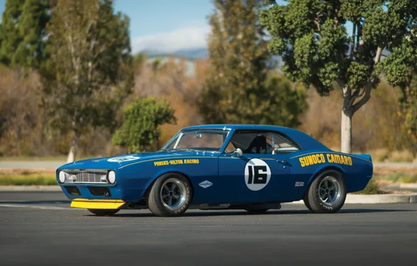 Chevrolet, Camaro, ралли, 1968