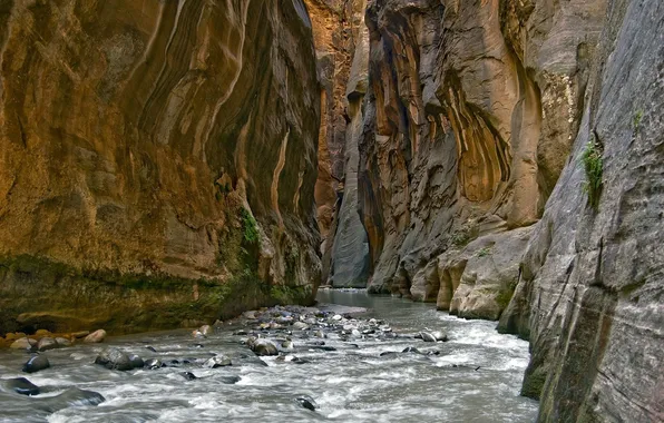 Картинка река, камни, каньон
