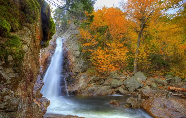 Картинка осень, природа, фото, водопад, США, Glen Ellis, New Hampshire