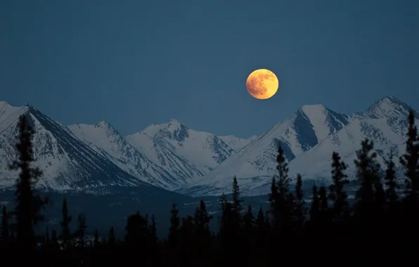 Картинка зима, небо, снег, деревья, горы, скалы, луна, вечер