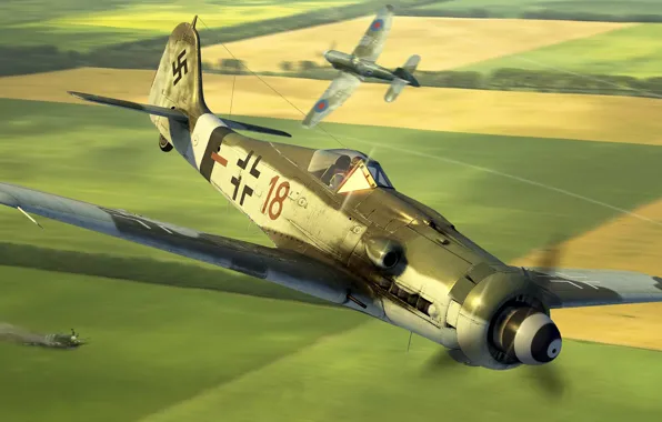 Германия, Dora, Фронтовой истребитель, Fw-190D-9