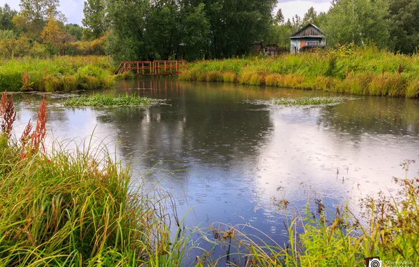 Пейзаж, природа, река, село, деревня