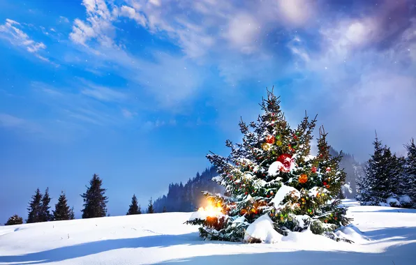 Картинка лед, небо, свет, снег, lights, елка, Новый год, ice