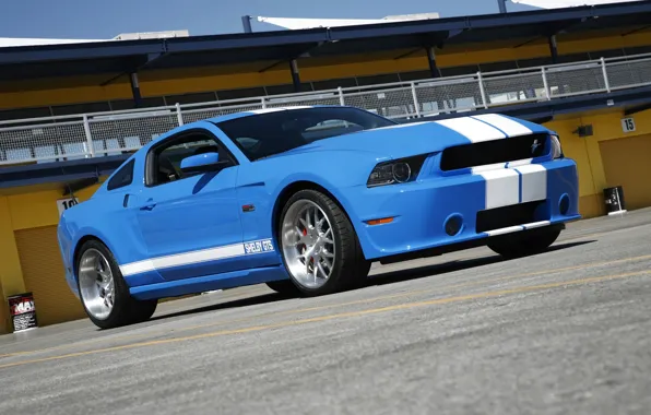 Shelby, mustang, GTS, 2013