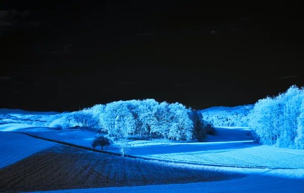 Картинка field, blue, night, serenity, starry