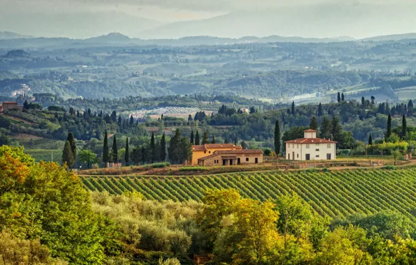 Деревья, поля, дома, Италия, панорама, плантации, Тоскана, Tuscany