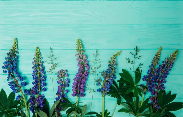 Цветы, wood, flowers, purple, люпины, lupine