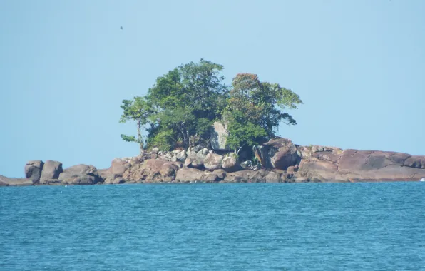 Brazil, Ocean, Sea, Trees, Rock Island, Ubatuba city