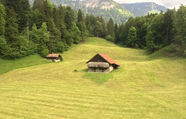 House, Switzerland, Swiss Alps
